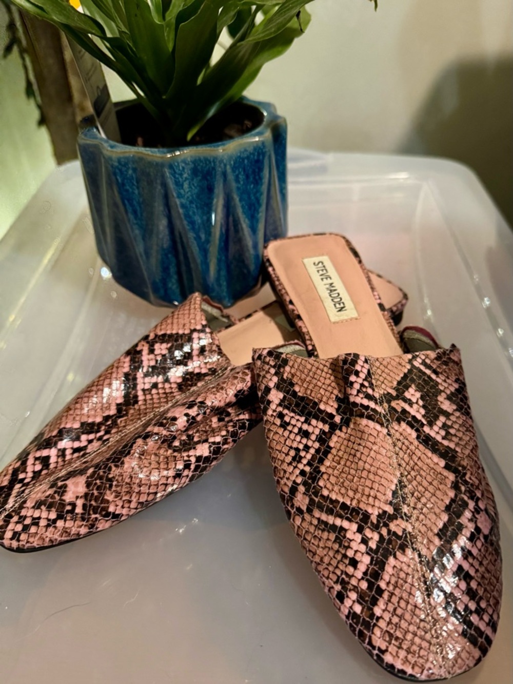 Steve Madden Pink & Black Snake-Print Slide Mules